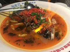-坛宗剁椒鱼头(河西王府井店)
