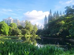 -荔枝公园(福田区)