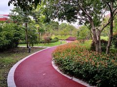 -上海财经大学(国定路校区)