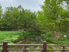 -桤木河湿地公园