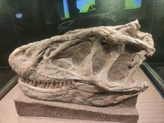 -自贡恐龙博物馆