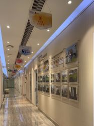 -上海首尔丽格医疗美容医院