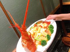 小青龙-蝶园·装修中(BFC外滩金融中心店)