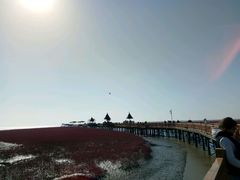 -红海滩国家风景廊道