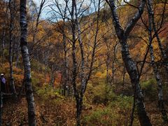 -苏木山森林公园