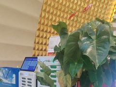 -碧中海汤泉汗蒸酒店