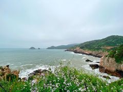 -枸杞岛