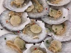 -寻味顺德·南记酒家·传统顺德菜·鱼生(广源路店)