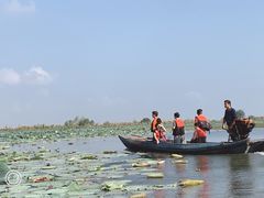 -洪湖生态旅游区