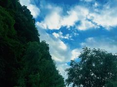 -陕西省红河谷森林公园