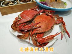 -北塘海鲜·天津菜(大光明桥旗舰店)