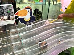 -正佳雨林生态植物园