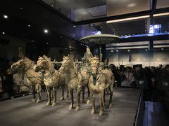 -秦始皇帝陵博物院-丽山园