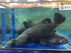 -东江海鲜酒家(艺都分店)