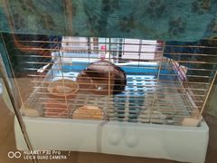 -雨林宠物医院 非犬猫异宠专科