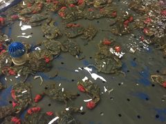 -澜悦港海鲜体验主题餐厅