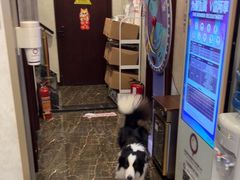 -宠爱国际动物医院·疑难骨科·心肾内科·皮肤科(太阳宫店)
