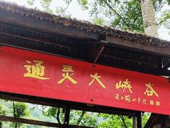 -通灵大峡谷
