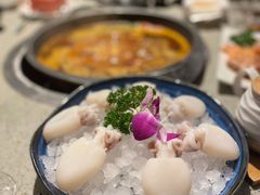 宏泰墨鱼仔-园里火锅(仁和新城店)