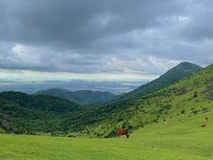 -大姆山草场