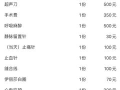 -申普宠物医院·心脏介入·心血管微创(总院)