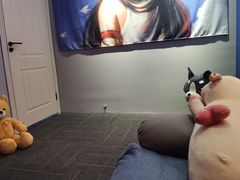 -浣熊部落ps4 ps5 switch 电玩(茶店子店)