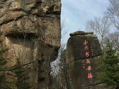 景点-汤旺河林海奇石景区
