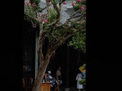 -安仁古镇