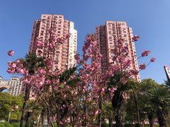 -永乐路-路侧停车场