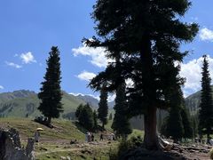 -新疆那拉提国家旅游度假区