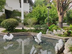 -广富林宰相府酒店·水云间