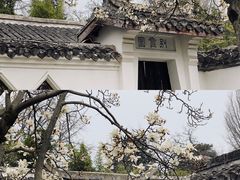 -水绘园