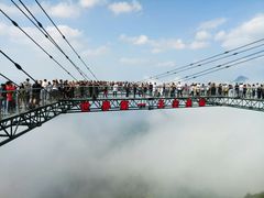 -梦幻奥陶纪景区