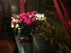 -不舍昼夜咖啡馆