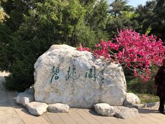-北京植物园南门售票处