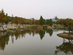 -佛手湖郊野公园