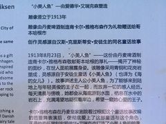 -美人鱼