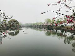 -无锡蠡湖国家湿地公园-蠡园