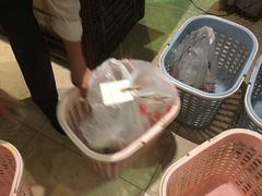 -广东名门