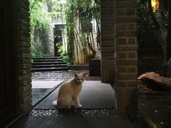 -竹吟山房
