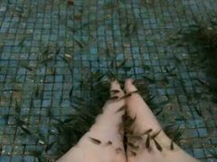 -灵秀温泉