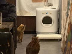 -咖法森林·咖啡  酒吧(天河店)