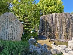 -合肥滨湖国家森林公园