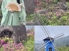 -玉苍山国家森林公园