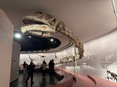 -自贡恐龙博物馆