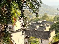 -塔川景区