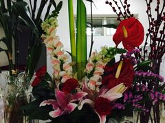 -上海市中医医院(芷江路院区)