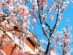 -东北师范大学(净月大街校区)