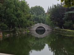 -泰州凤城河风景区-泰山公园