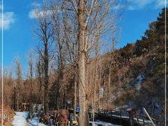 -蟠龙山长城景区